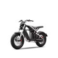 Rushhorse Z1