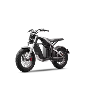 Rushhorse Z1